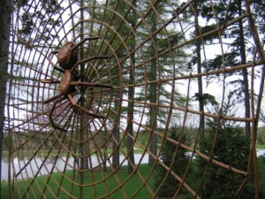 3-May-08 - Big Bug Walk! 002