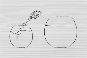 Copyright 2015 Dollar Photo Club by Faithie